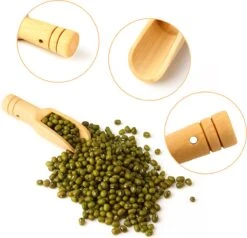 10 Stuks Mini Houten Lepels - Kleine Theelepeltjes - Houten Schepjes - Doseerschep Maatlepel - Lepels Voor Keuken, Koken, Kruiden, Koffie, Thee, Suiker En Zout - Spatel -Keukengerei Winkel 1200x1155 10