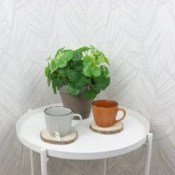 OTIX Koffiekopjes - Met Oor - Set Van 4 - Verschillende Kleuren - Aardewerk - 250 Ml 11 OTIX Koffiekopjes - Met Oor - Set Van 4 - Verschillende Kleuren - Aardewerk - 250 Ml -Keukengerei Winkel 1200x1200 1296