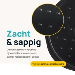 MOA Gietijzeren Braadpan - Inhoud 4,75 Liter - 26CM - Rond - Alle Warmtebronnen - Ook Voor Inductie - Gewicht 5,8 Kg - Zwart - MOAMC26B 13 MOA Gietijzeren Braadpan - Inhoud 4,75 Liter - 26CM - Rond - Alle Warmtebronnen - Ook Voor Inductie - Gewicht 5,8 Kg - Zwart - MOAMC26B -Keukengerei Winkel 1200x1200 584
