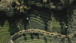 Sola Bestekset Bali - Modern - 9 Persoons - 90 Delig - Zilverwit Edelstaal 18/10 - RVS - Zilver -Keukengerei Winkel 1200x675 27