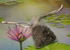 1000g Shungiet Shungite Stenen Voor Water En Ontstoring -Keukengerei Winkel 1200x853 4