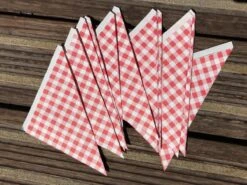 Papieren Frietzak - 30 Stuks - Kleine Patat Maat K14 - Boerenbont - Rode Ruitjes - Puntzak - Patatzak - Traktaties -Keukengerei Winkel 1200x900 142