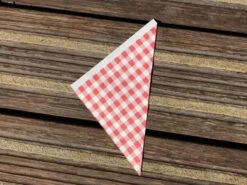 Papieren Frietzak - 30 Stuks - Kleine Patat Maat K14 - Boerenbont - Rode Ruitjes - Puntzak - Patatzak - Traktaties -Keukengerei Winkel 1200x900 143