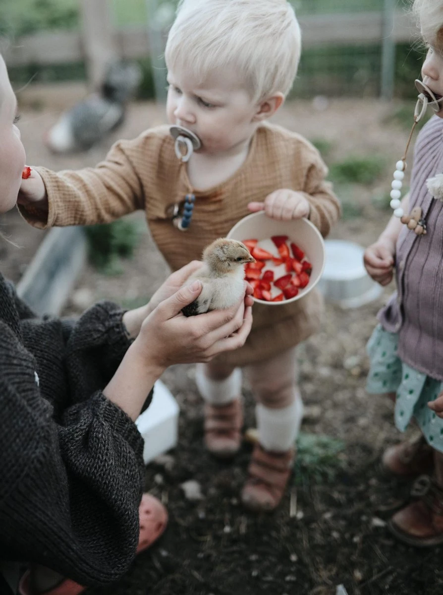 Siliconen Kommen - Mushie - Vanille - Set 2 13 Siliconen Kommen - Mushie - Vanille - Set 2 - Afbeelding 13