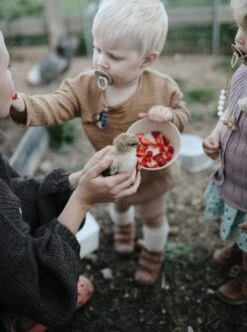 Siliconen Kommen - Mushie - Woodchuck - Set 2 -Keukengerei Winkel 894x1200 5